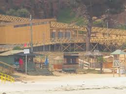 Un full day con emotion tour despierta las emociones que necesitas para iniciar el año con energía. Algarrobo Digital Triste Testimonio De Navidad Canelo Canelillo Algarrobo