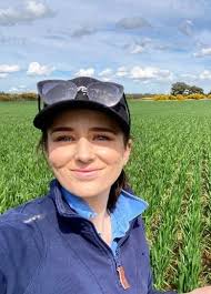 Cotton grown with drip in Australia.