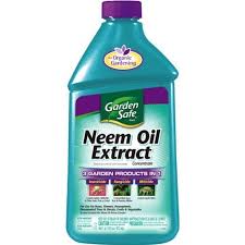 Below i will go into mix the 1 1/2 teaspoons neem oil concentrate, with 1 teaspoon mild liquid soap, and 1 liter tepid water. Pin By Laura Hoyt On Household Tips Insect Spray Plant Insects Neem Oil