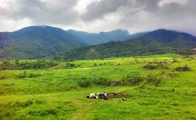 Check spelling or type a new query. 7 Must Visit Places In Kundasang Sabah