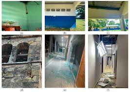 A Report of the Observed Intensity and Structural Damage during the Mw 5.3  Earthquake in Santo Domingo (Province of Chiriquí, Panamá)