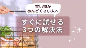 買い物がめんどくさい理由と「今すぐ試せる」3つの解決法 | 全国ネットスーパーガイド｜デリデリッシュ