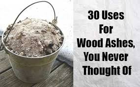 30 Uses For Wood Ash You Never Thought Of Shtfpreparedness Ash Wood Garden Tips