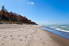 Priceline.com has been visited by 1m+ users in the past month Indiana Dunes Nationalpark Wikipedia
