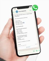 WhatsApp Reports