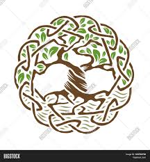 Astrologyoftheancients.com is a participant in the amazon services llc associates program, an affiliate advertising program designed to provide a means for sites to earn advertising fees by advertising and linking to amazon properties including, but not limited to. Celtic Tree Life Vector Photo Free Trial Bigstock