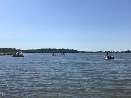 Shabbona park is probably not unique, but it is a pleasant park, with a large pond, favored by geese, ducks and the occasional beaver, and sometimes visited by swans. Shabbona Lake State Park Concessionaire Home Facebook