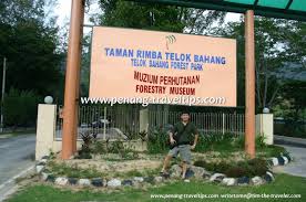 Check spelling or type a new query. Taman Rimba Teluk Bahang