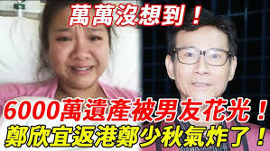 美國華人營建公會在聖蓋博喜來登酒店舉行2019新春聯歡晚會【全美電視臺】