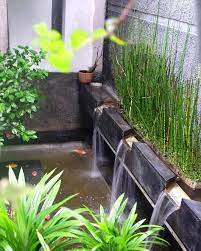 Kami selalu mendoakan semoga anda diberikan kemudahan dalam membangun rumah impian. Kolam Ikan Kecil Di Teras Rumah Content