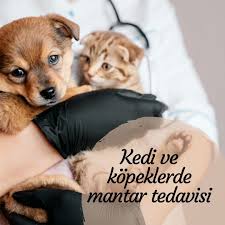 Dogukan Ilac Mantar Enfeksiyonlari Ile Ilgili Yazimiz Sitemizde Yayinlanmistir Yazi Icin Biodaki Linki Tiklayabilirsiniz Facebook