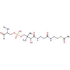 Coyote, road runner, pepé le pew, foghorn. Brenda Information On Ec 2 1 3 10 Malonyl S Acp Biotin Protein Carboxyltransferase
