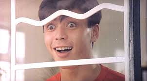 Chicken and Duck Talk (1988)