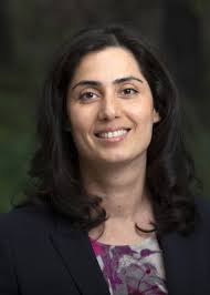 Wallenberg Academy Fellows 2019