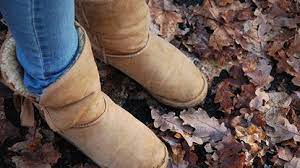 The Best Women S Uggs Chicago Tribune