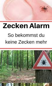 So Vermeidest Du Garantiert Gefahrliche Zeckenbisse Borreliose In 2020 Naturliche Behandlungsmethoden Zecken Richtig Entfernen Zecken