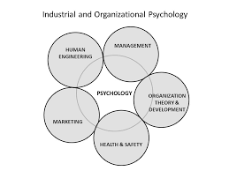 The moderators will determine the relevance and contribution to the subreddit. What Is I O Psychology Psychology Is The Science Of Human Behavior Ppt Video Online Download