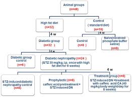 Caffeic Acid Attenuates Diabetic Kidney Disease Via