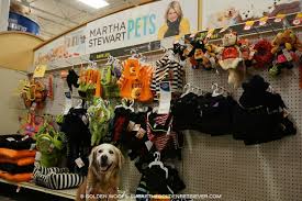 5.0 out of 5 stars based on 8 product ratings (8). Halloween Archives Page 3 Of 6 Golden Woofs