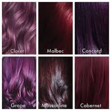 28 Albums Of Shades Of Purple Hair Color Chart Explore