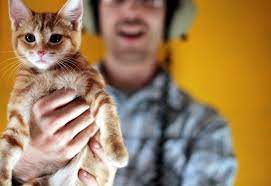 Didn T Know Only 2 Of Orange Cats Were Female Until My Vet Kept Referring To Her As Him On Our First Visit Aww