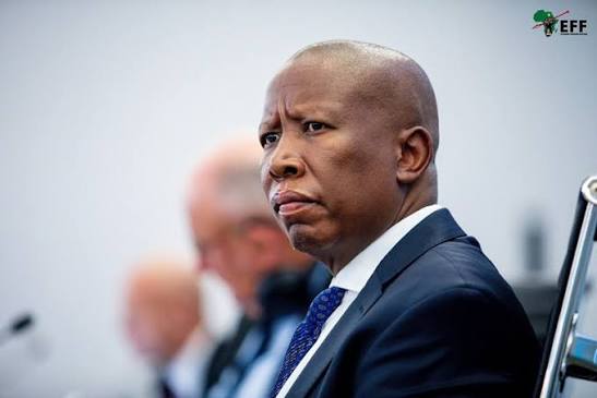 Court hands Malema jail time for 'deliberate' gun discharge