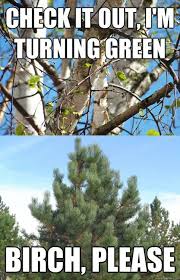 Check It Out I M Turning Green Laugh Laughing So Hard Funny Pictures