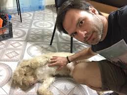 Καλησπερα σας έχει περίπου 4 ώρες που χάθηκε ο Rocky Στην Θεσσαλονίκη  περιοχή Κασσάνδρου με Αγ. Δημητριου Ειναι φιλικός και δεν δαγκώνει Οποίος  μπορει να βοηθήσει ή τον εχει δει μπορει να