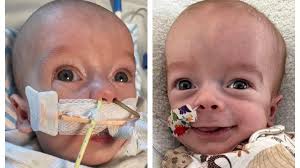 Fundraiser for Matthew Patterson by Lindsey Reed : Wes and Will: Heart  Warriors