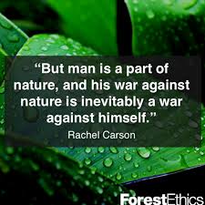 Man Vs Nature Nature Quotes Rachel Carson Quotes Rachel Carson