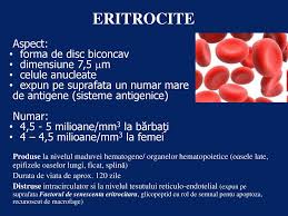 Unfortunately rdw has not come from any medical technologist or haematologist; Mecanisme Si Modalitati De Stabilire A Diagnosticului Ppt Katebasma
