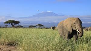 Profile search by email (ex. Teoa Aiuxji7tm