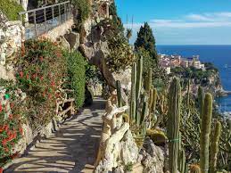 Often seen as a spiky thing that thrives on neglect, the cactus can in fact make an a cactus can be used in many ways, such as: The Exotic Garden And Cave In Monaco How To Visit