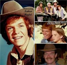 Mitch Vogel's roles in Bonanza and Little House