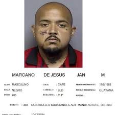 NO PARECEN DE AQUÍ, PARECEN DE LA GANGA LOS #MARASALVATRUCHAS 🫣❗LES  RADICAN CARGOS A LA #SICARIA Y A DON #JAN POR ALEGADAMENTE VENTA Y  DISTRIBUCIÓN DE DROGAS EN #GUAYAMA 😵‍💫❗ PPR- Cargos