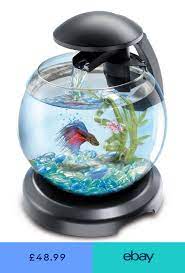 Tetra Cascade Globe Glass Fish Tank With Led Light Filter Bowl Aquarium Black Glass Fish Tanks Fish Tank Fish Tank Decorations