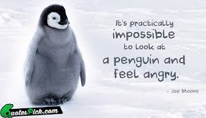 We did not find results for: Quotes About Penguin 65 Quotes