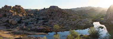 However, they tend to be spread out amongst several rock formations. Barker Dam Loop Joshua Tree National Park U S National Park Service
