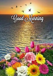 Beautiful Good Morning Images And Pictures Full Hd In 2020 Good Morning Images Flowers Good Morning Greetings Good Morning Beautiful Flowers