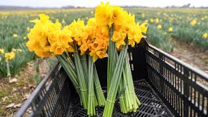 Wählen sie aus erstklassigen inhalten zum thema frühling wiese in höchster qualität. Meteorologischer Fruhlingsanfang Der Regen Macht Deutschland Bunt Wetter De