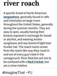 Mud Cricket Memes