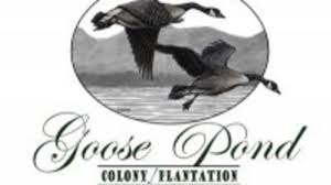 Check spelling or type a new query. Goose Pond Colony Resort