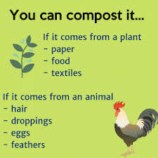 So what exactly should you do if you find your dog has eaten chicken. Composting 101 Organica Biotech