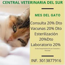 Central Veterinaria Del Sur