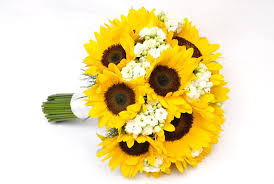 Ekspresikan dirimu dengan ribuan wallpaper bunga. Download Wallpaper Bunga Matahari Hd Cikimm Com