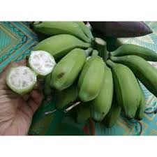 Maybe you would like to learn more about one of these? Pisang Batu Pisang Biji Pisang Klutuk Kondisi Tua 1kg Shopee Indonesia