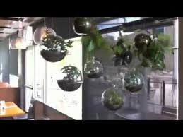 When you hang glass garden globes, it's a testament of how life can thrive on the barest minimum. Hanging Glass Globe Bubble Terrariums Modern Eco Friendly Decor Youtube