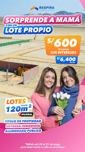 Maria Chauca-Agente Inmobiliario