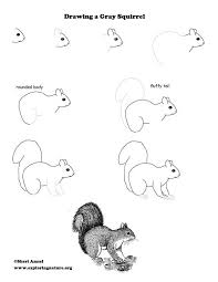 Learn About Drawing Animals On Exploingnature Org Easy Animal Drawings Animal Drawings Sketches Animal Drawings