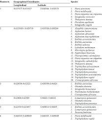 Image result for Cyathea mildbraedii